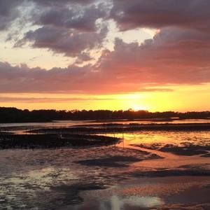 Meet your Posher, Trish